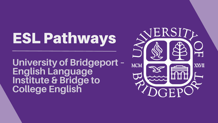 Study in USA | University of Bridgeport ELI & Bridge to College English